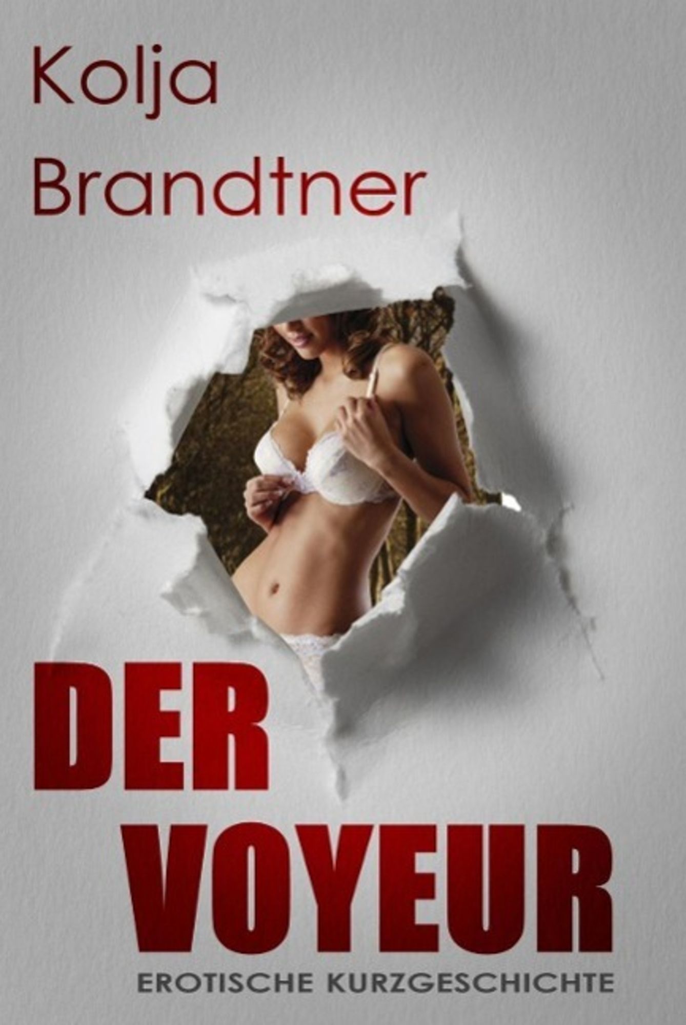 Der Voyeur von Kolja Brandtner billede