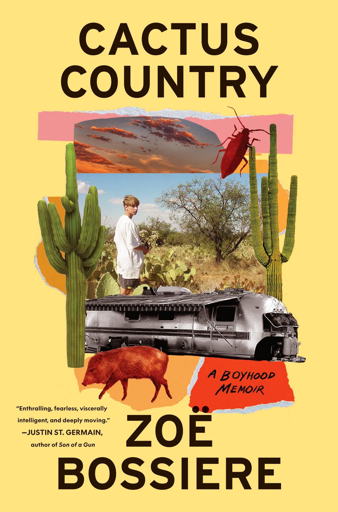 Cactus Country" auf Englisch kaufen