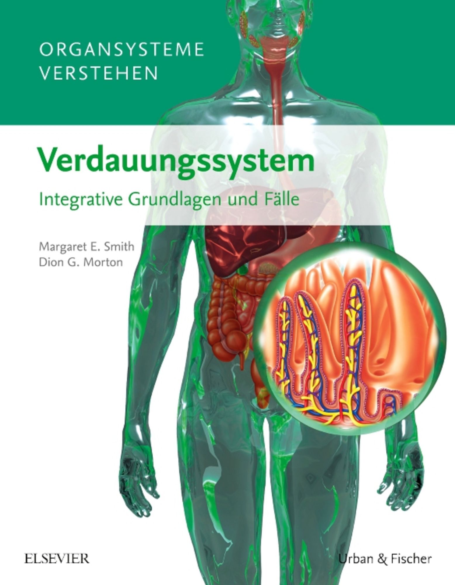 Organsystem Verdauung