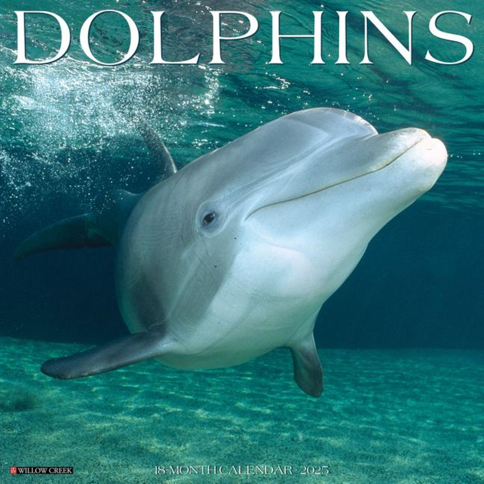 'Dolphins 2025 12 X 12 Wall Calendar' 'Tierkalender'