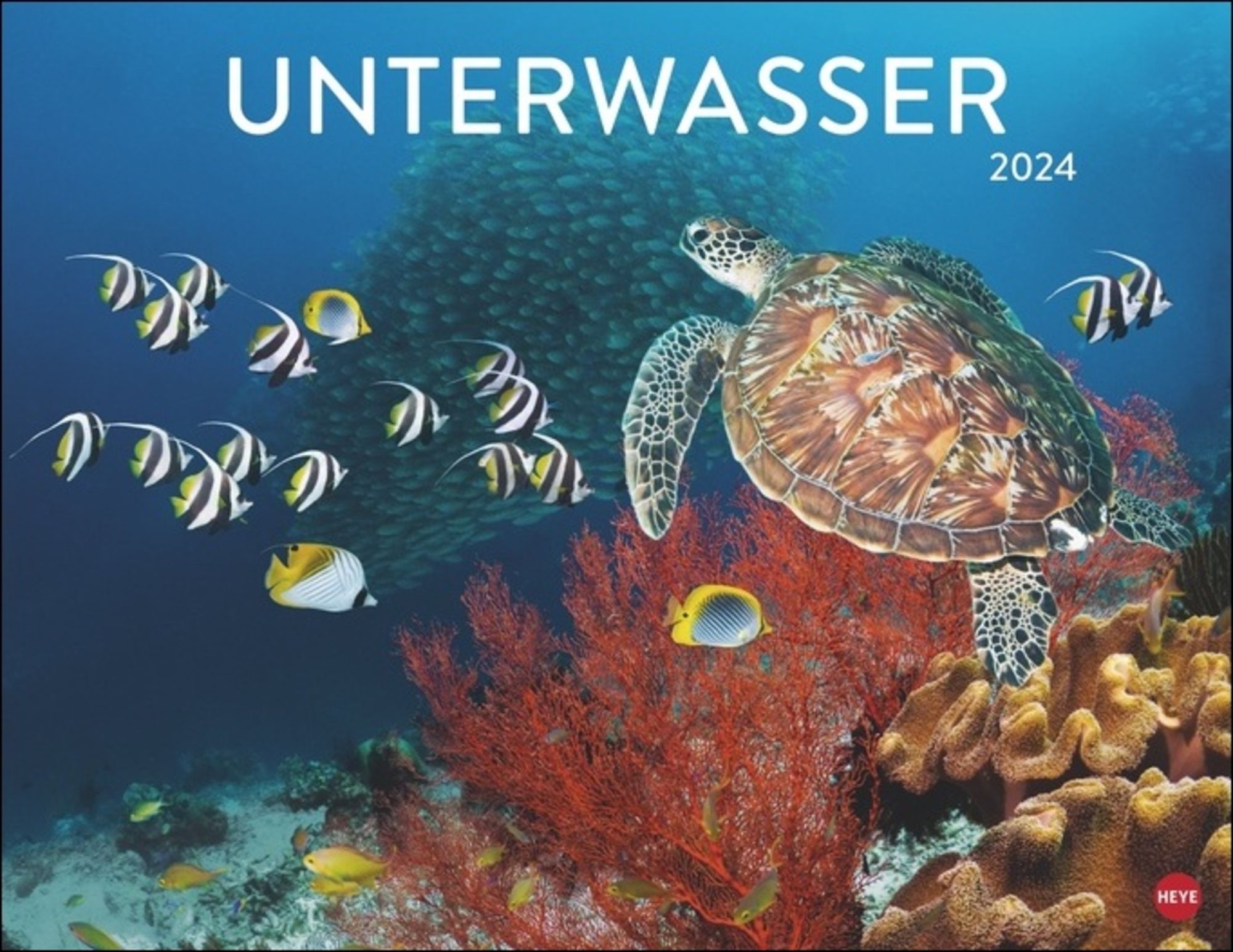 'Unterwasser Posterkalender 2024' 'Athesia'