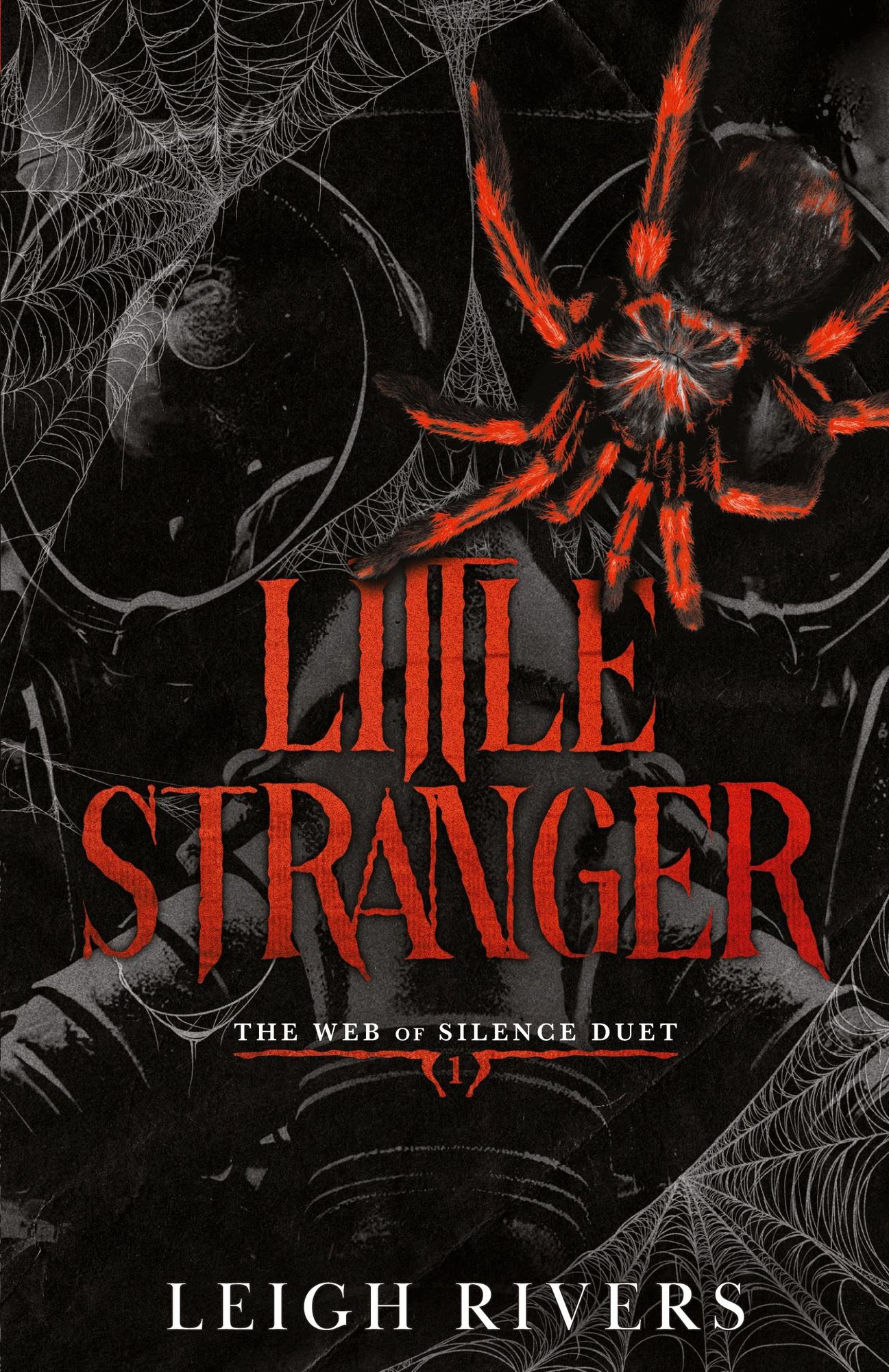 Little Stranger von Leigh Rivers - Taschenbuch - 978-1-73943-306-2 | Thalia