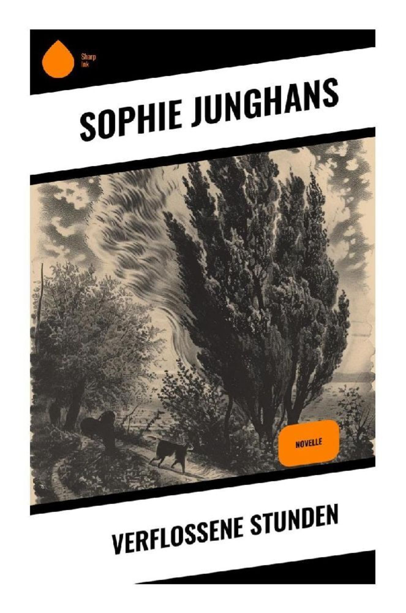 Verflossene Stunden von Sophie Junghans Buch 978 80 283