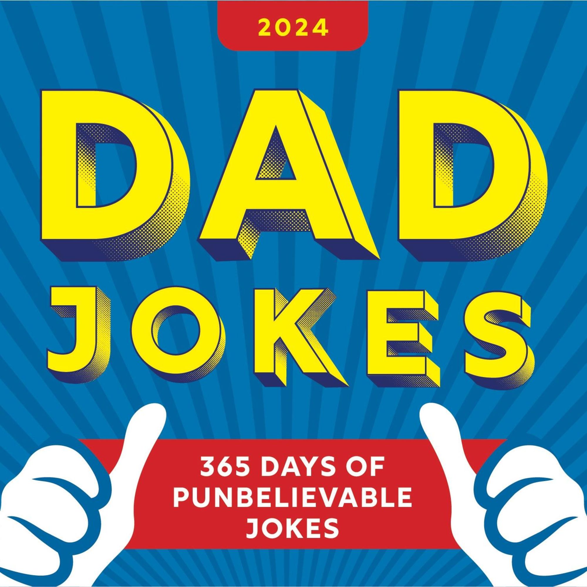 '2024 Dad Jokes Boxed Calendar 365 Days of Punbelievable Jokes' 'Bücher'