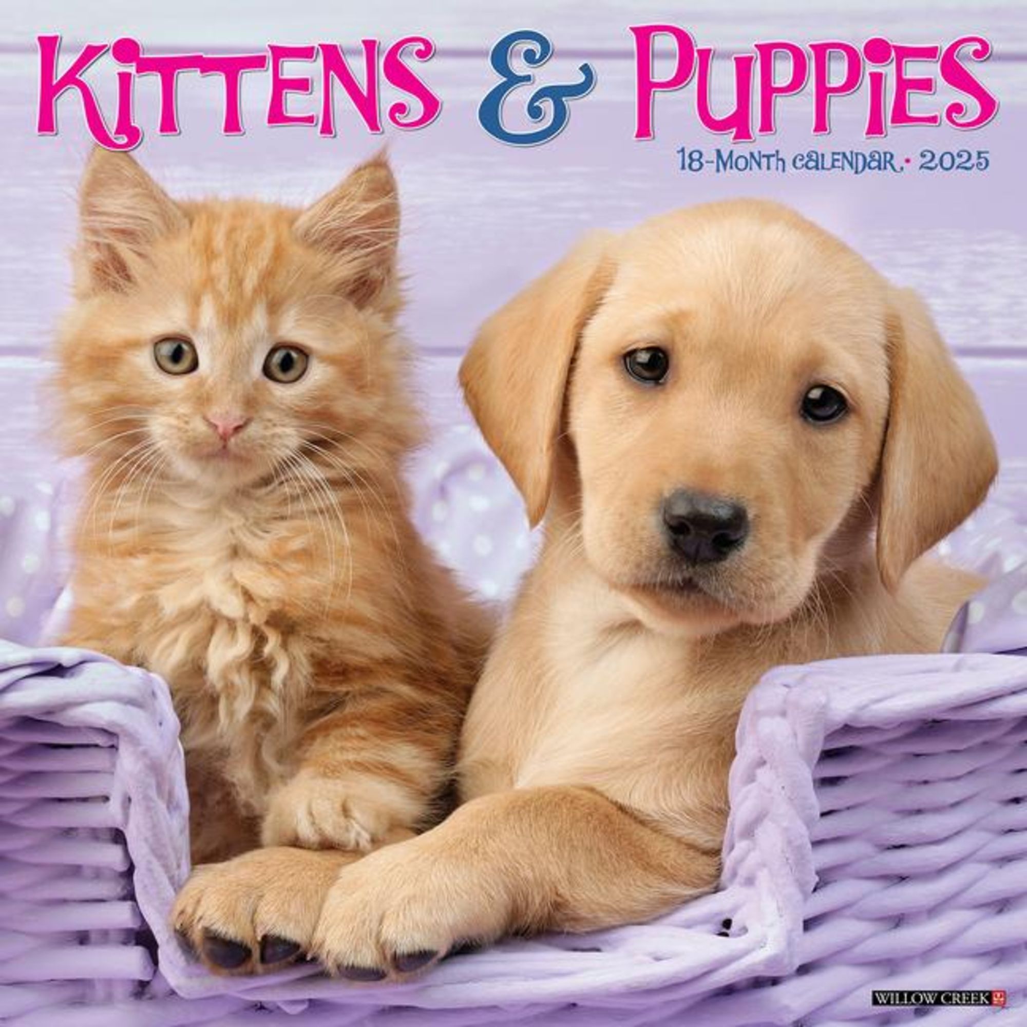 Kittens & Puppies 2025 12 X 12 Wall Calendar Tierkalender Thalia