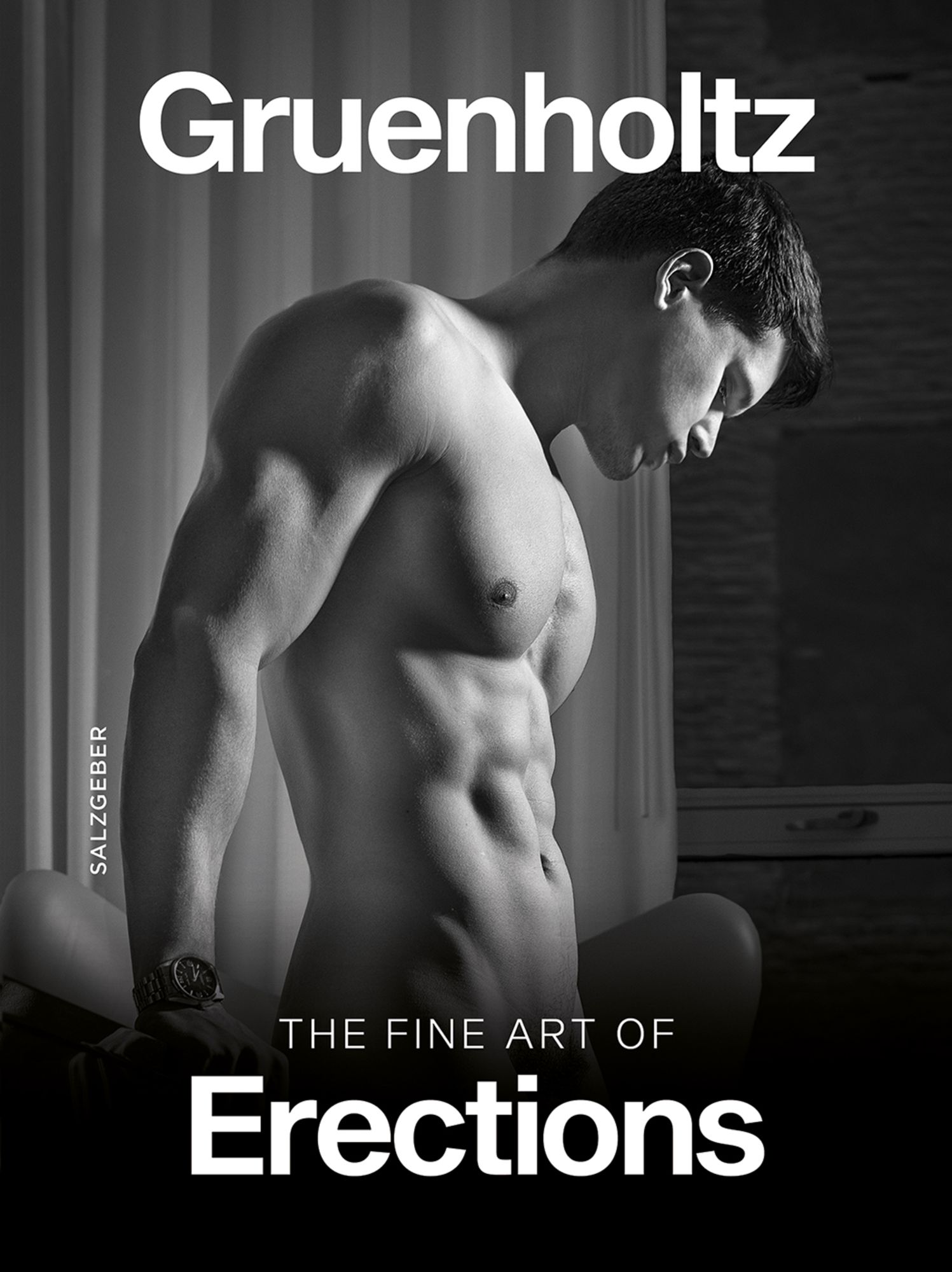 The Fine Art of Erections von Gruenholtz - Buch - 978-3-95985-665-2