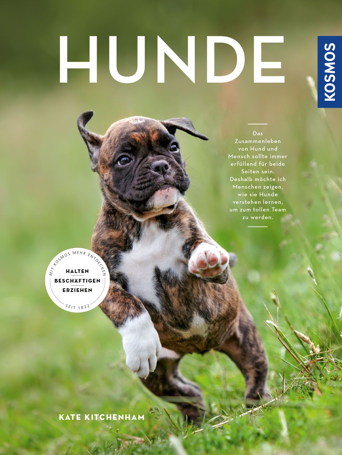 'Hunde' von 'Kate Kitchenham' - Buch - '978-3-440-15989-7'