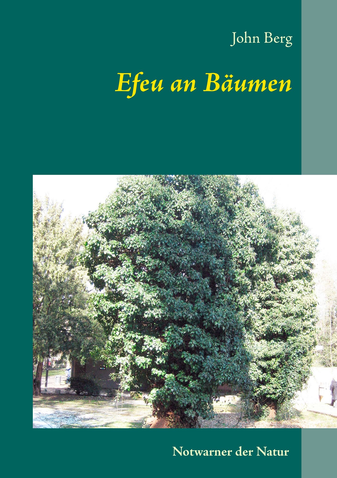 Efeu an Bumen" online kaufen