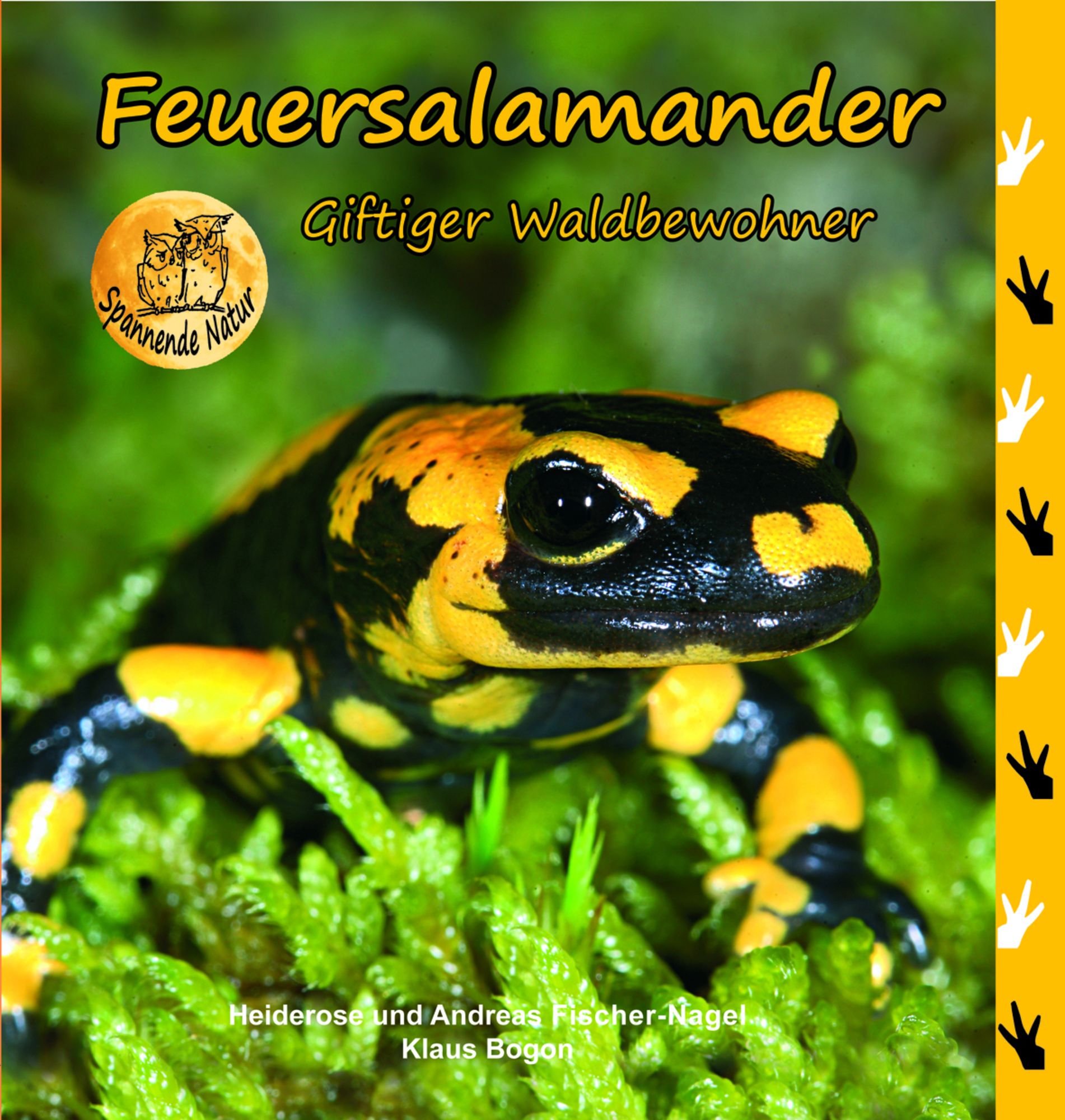 Feuersalamander' von 'Heiderose Fischer-Nagel' - Buch - '978-3-930038-58-9