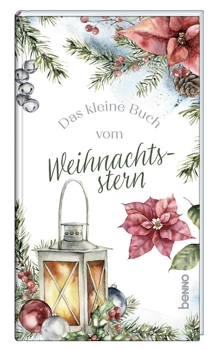 topfpflanze badezimmer Babypflanzen fürs Badezimmer (Trio) 🛁 main image 1