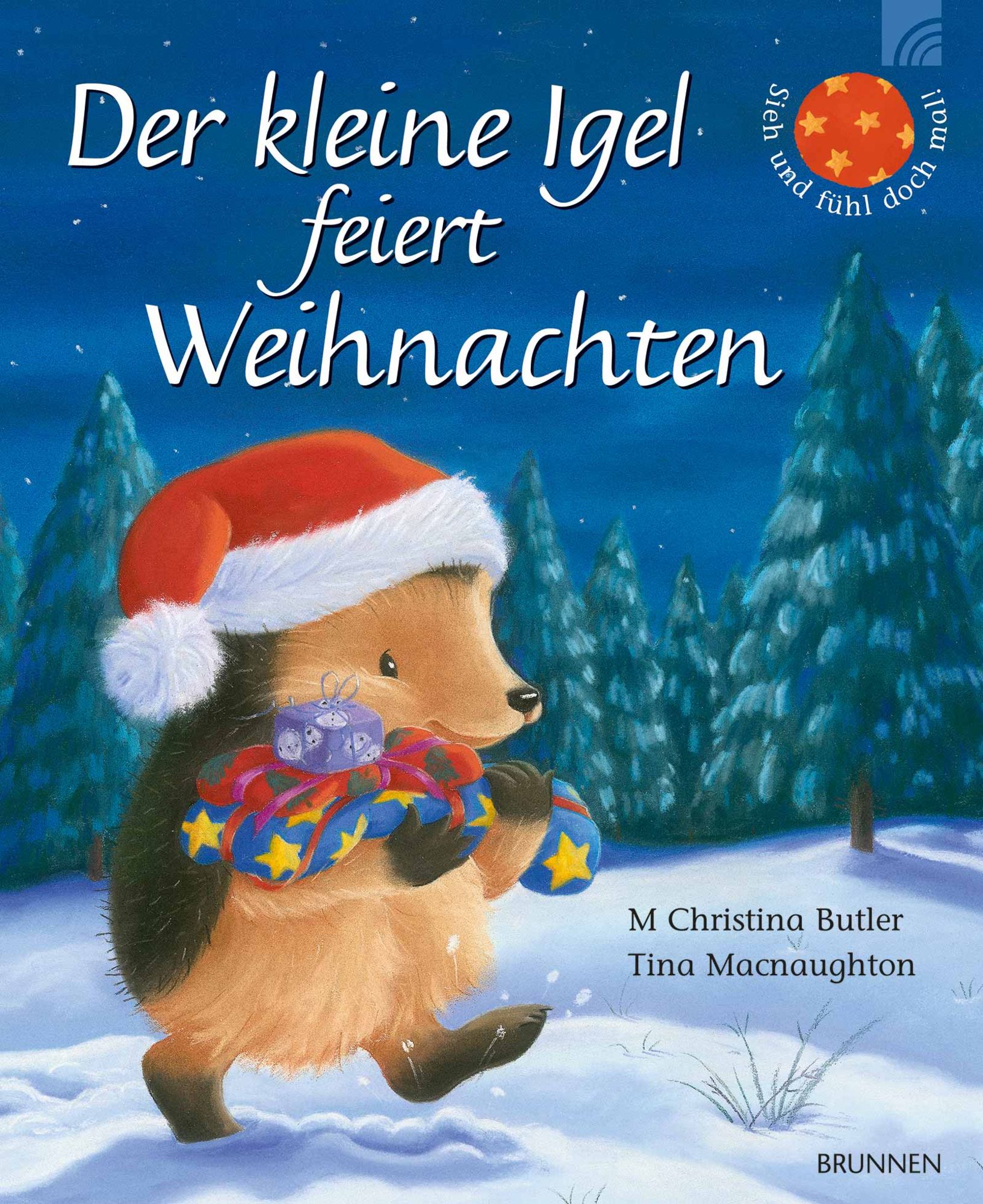 Der kleine Igel feiert Weihnachten' von 'M. Christina Butler' - Buch -  '978-3-7655-6899-2