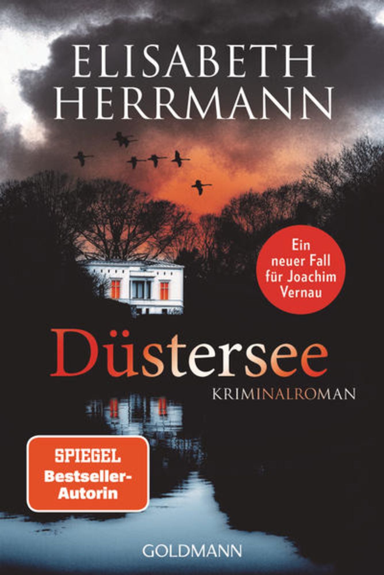 'Düstersee' von 'Elisabeth Herrmann' Buch '9783442492824'