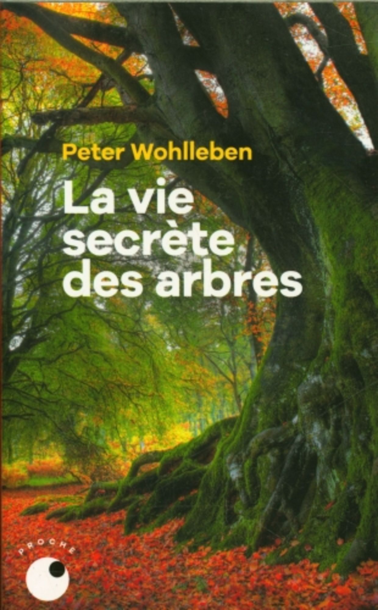 La Vie secrète des arbres' von 'Peter Wohlleben' - 'Taschenbuch