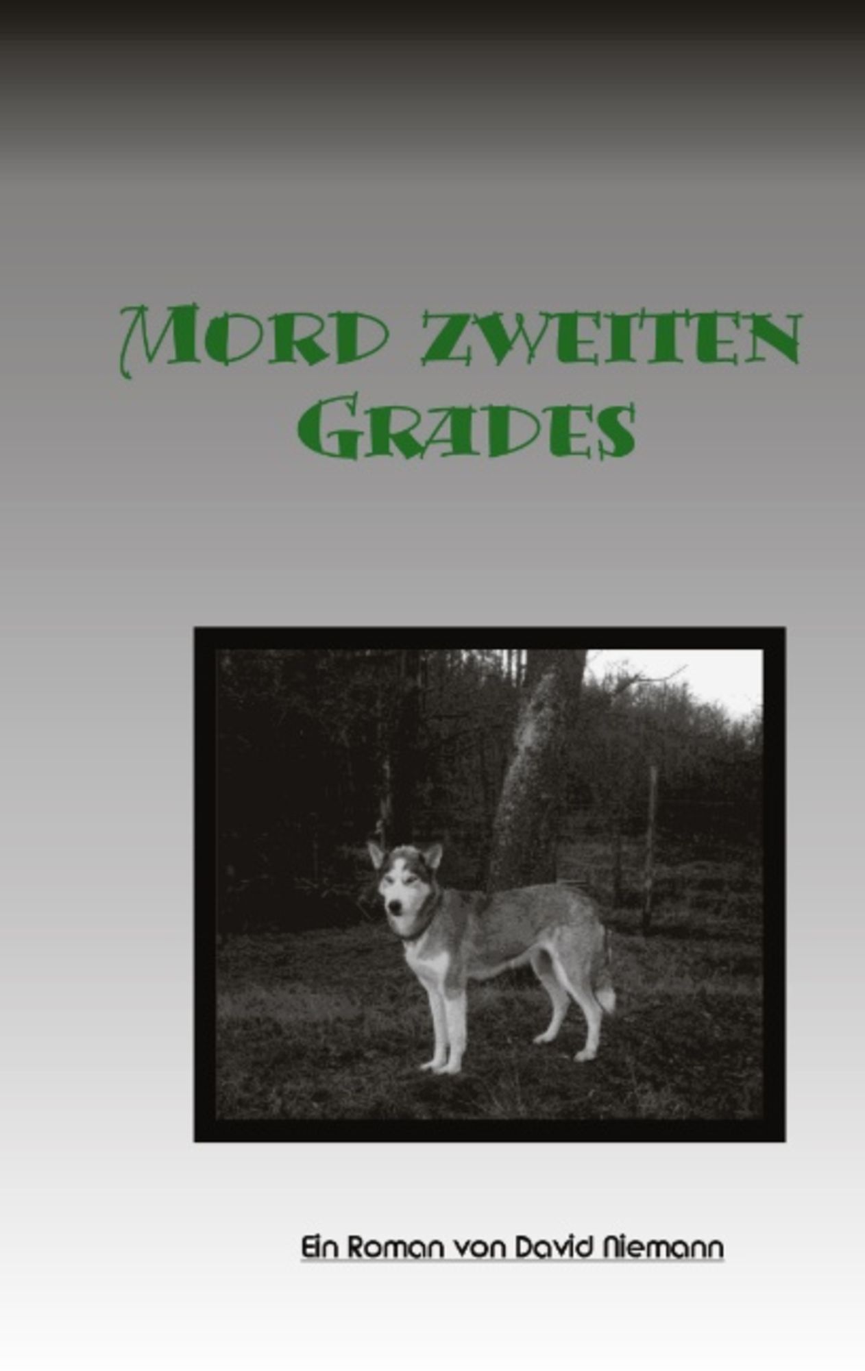 Mord zweiten Grades von Ralf Kessel - Buch - 978-3-8311-0776-6