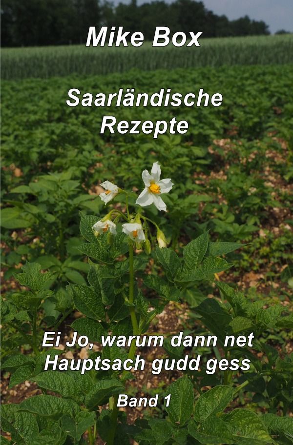 Saarländische Kochrezepte Band 1 von Mike Box - Buch | Thalia