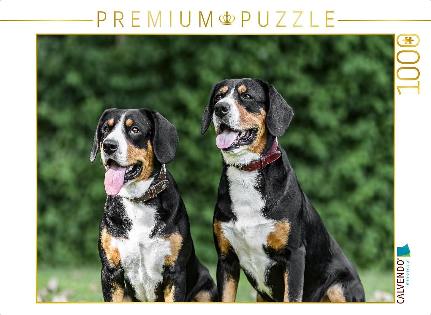 CALVENDO Puzzle Berner Sennenhunde 1000 Teile – 64 X 48 Cm, Premium Qualität