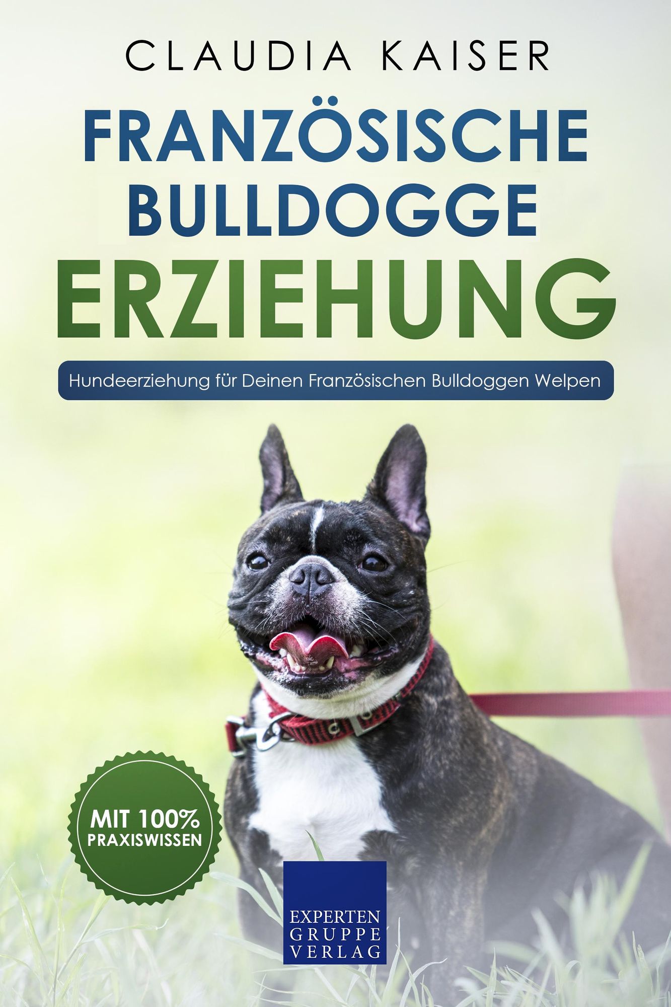 Welpe der französischen bulldogge -Fotos und -Bildmaterial in