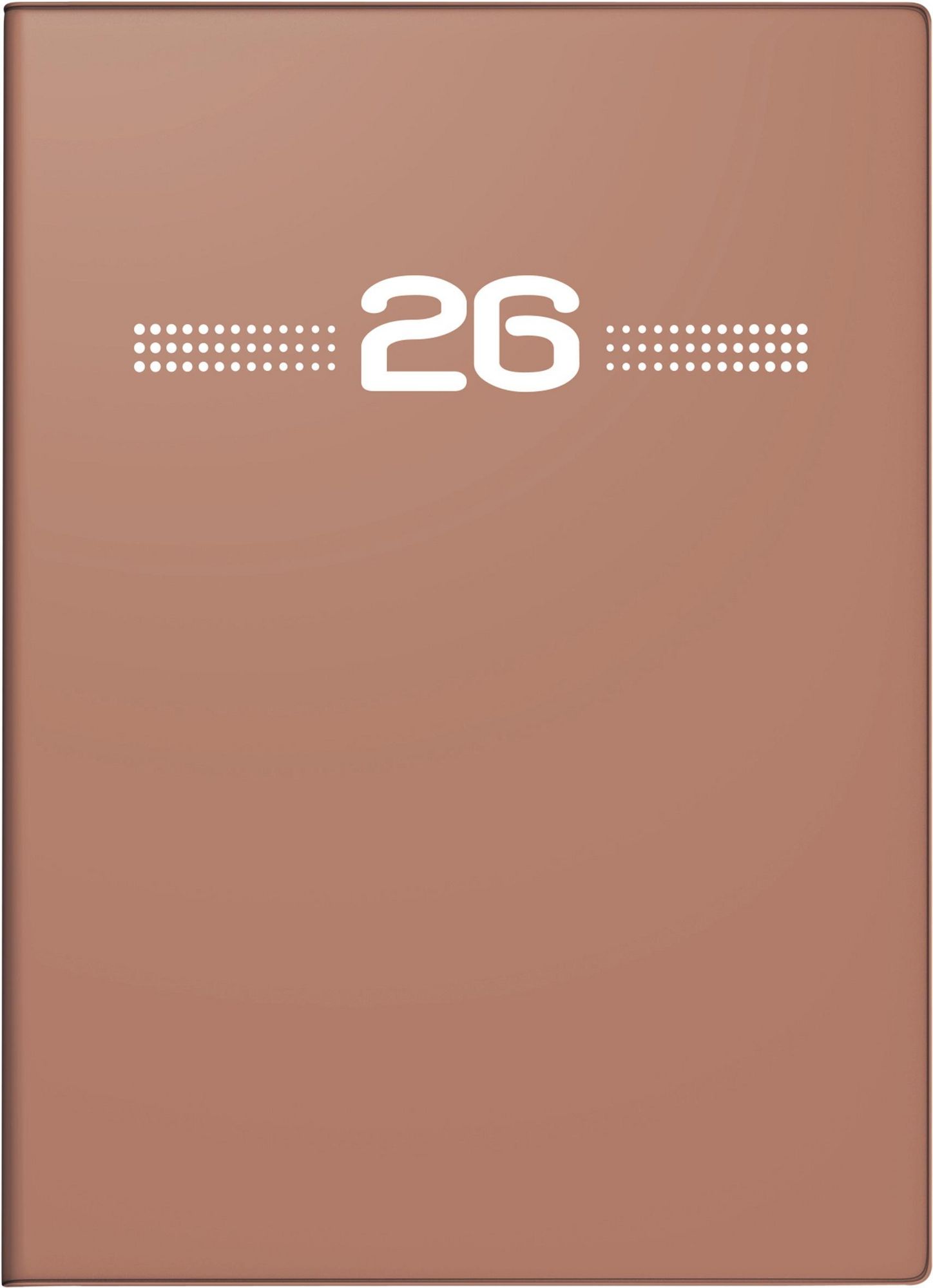 Rido/idé 7016903015 Taschenkalender Modell Taschenplaner Int. 2025 2 Seiten 1 Woche A6 144 Seiten Kunstleder
