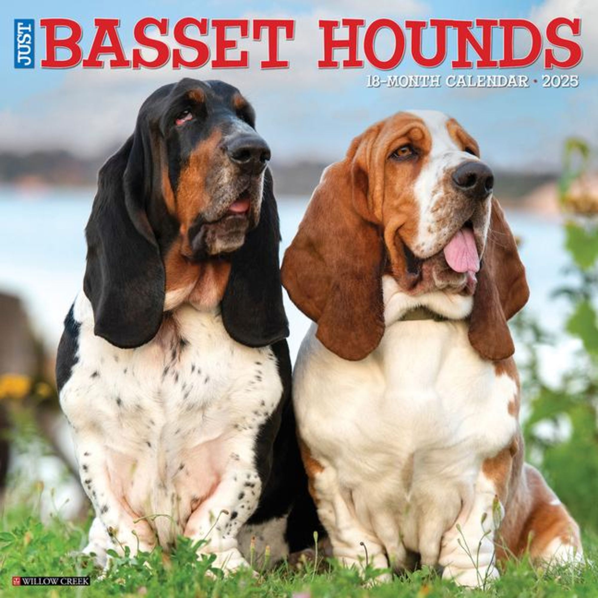 'Just Basset Hounds 2025 12 X 12 Wall Calendar' 'Tierkalender'