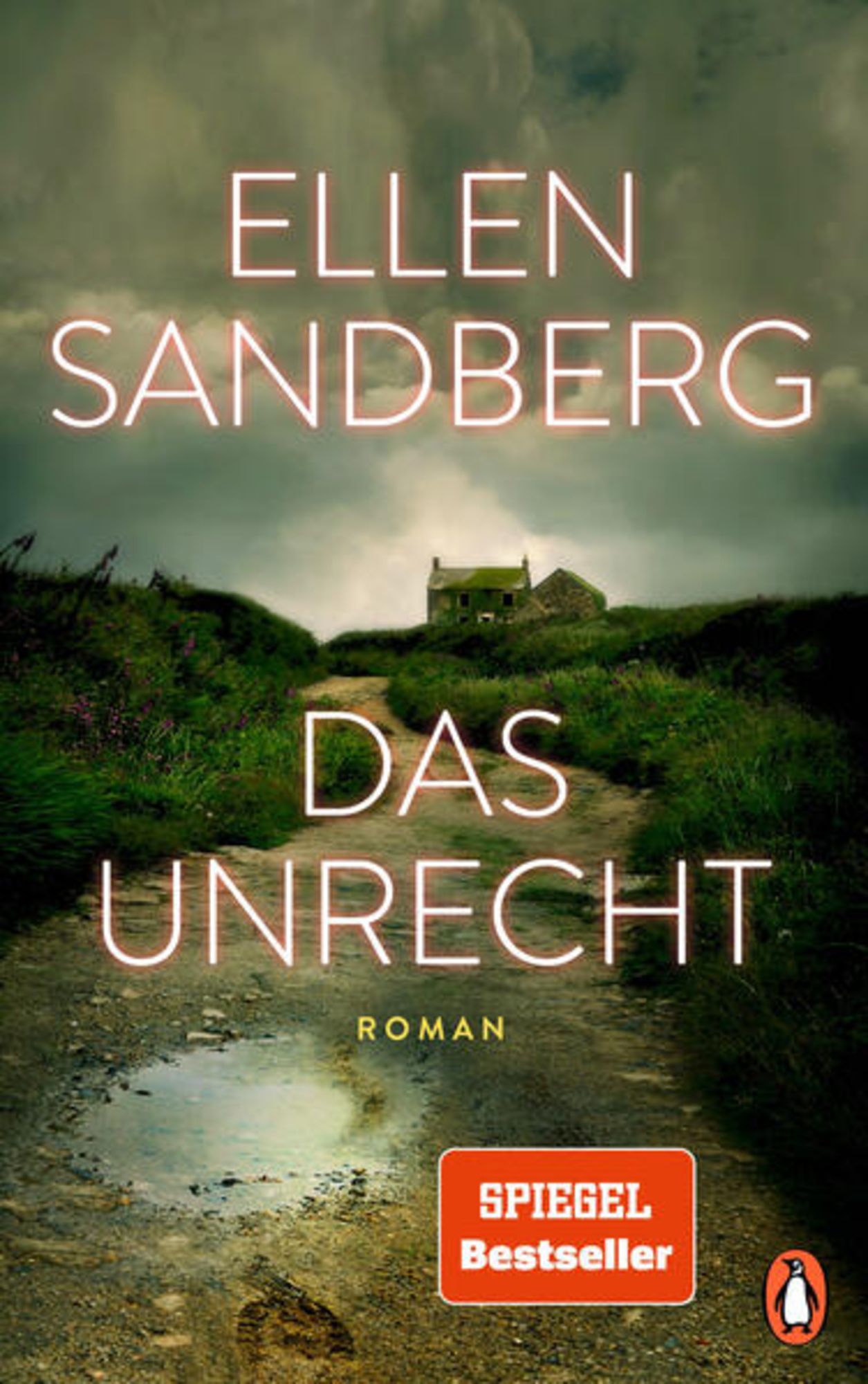 Das Unrecht Von Ellen Sandberg Buch 978 3 328 60254 5 9163