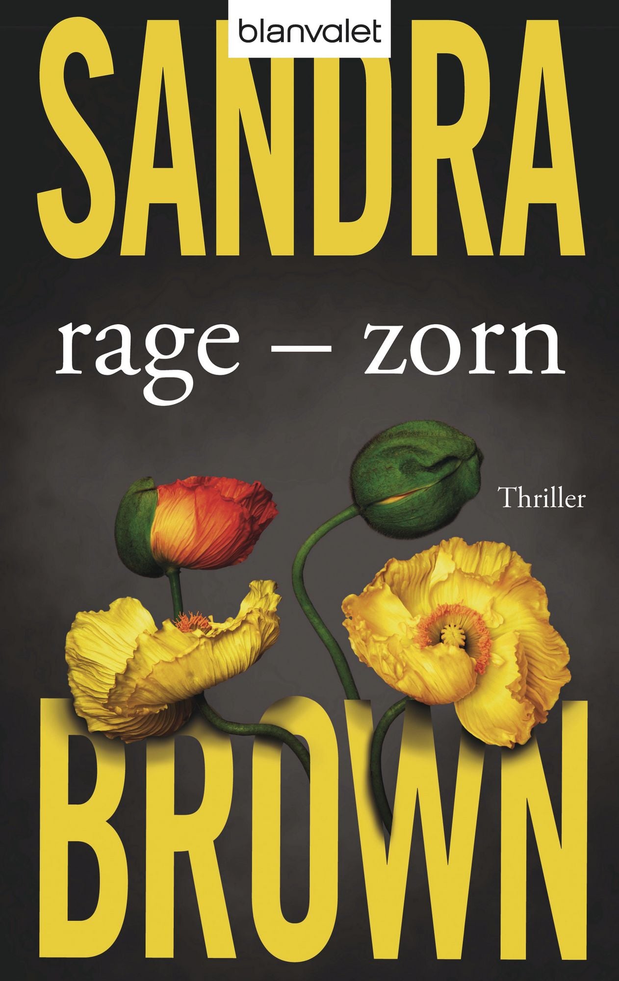'Rage Zorn' von 'Sandra Brown' Buch '9783442368389'