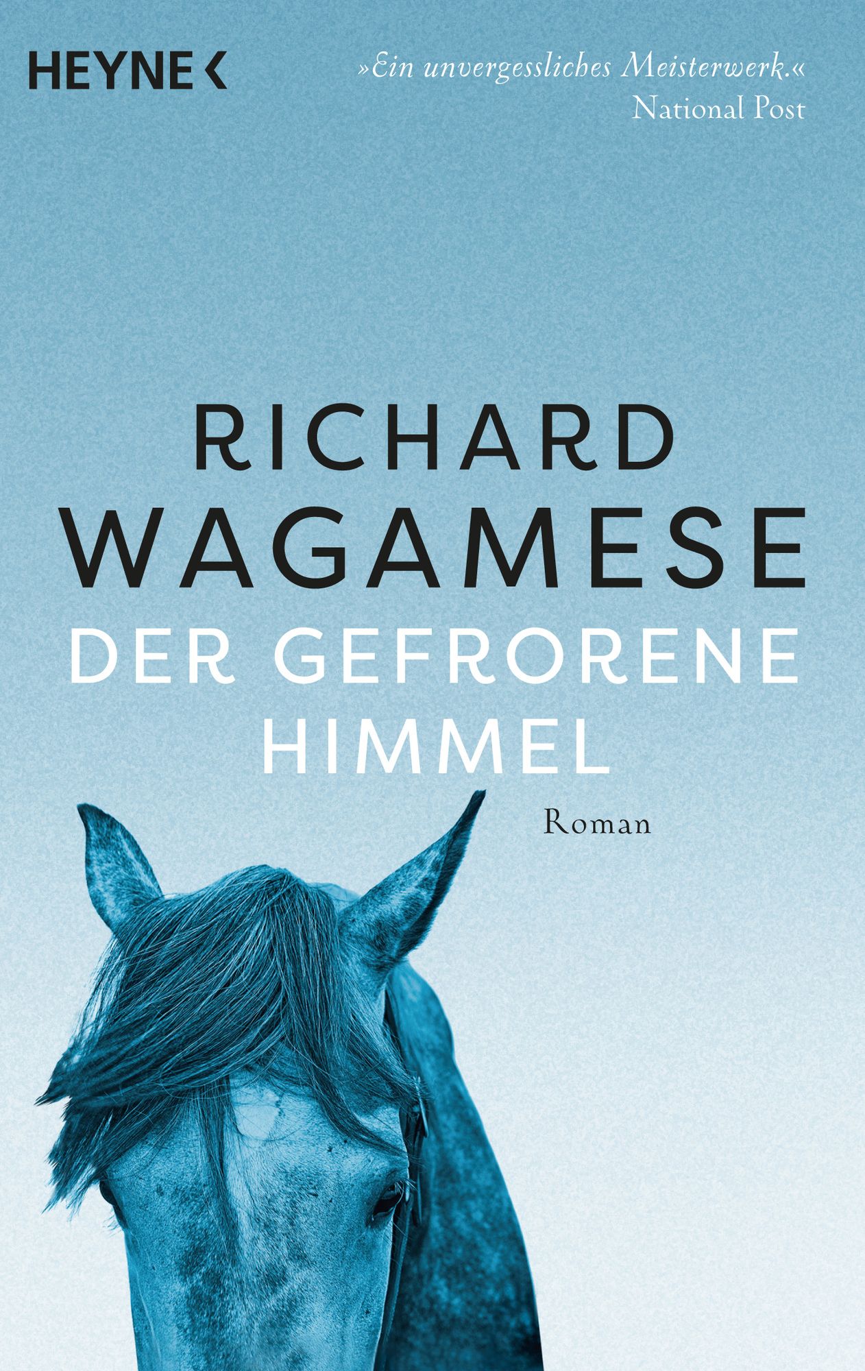 "Der gefrorene Himmel" online kaufen