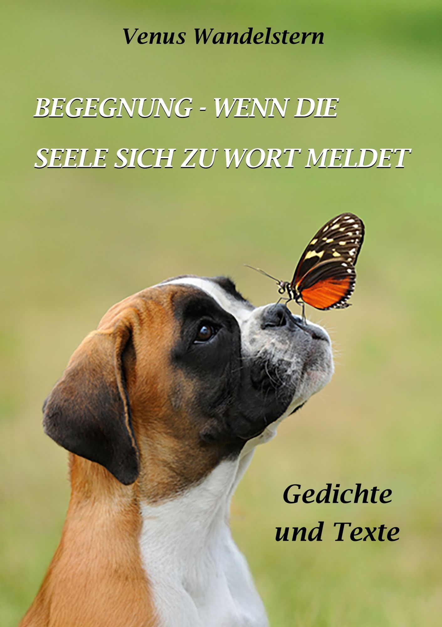 gps halsbänder für katzen 4G GPS Haustier-Tracker Halsband für Katze Hund Ohne Abonnement –  VerdantTrace Official Store