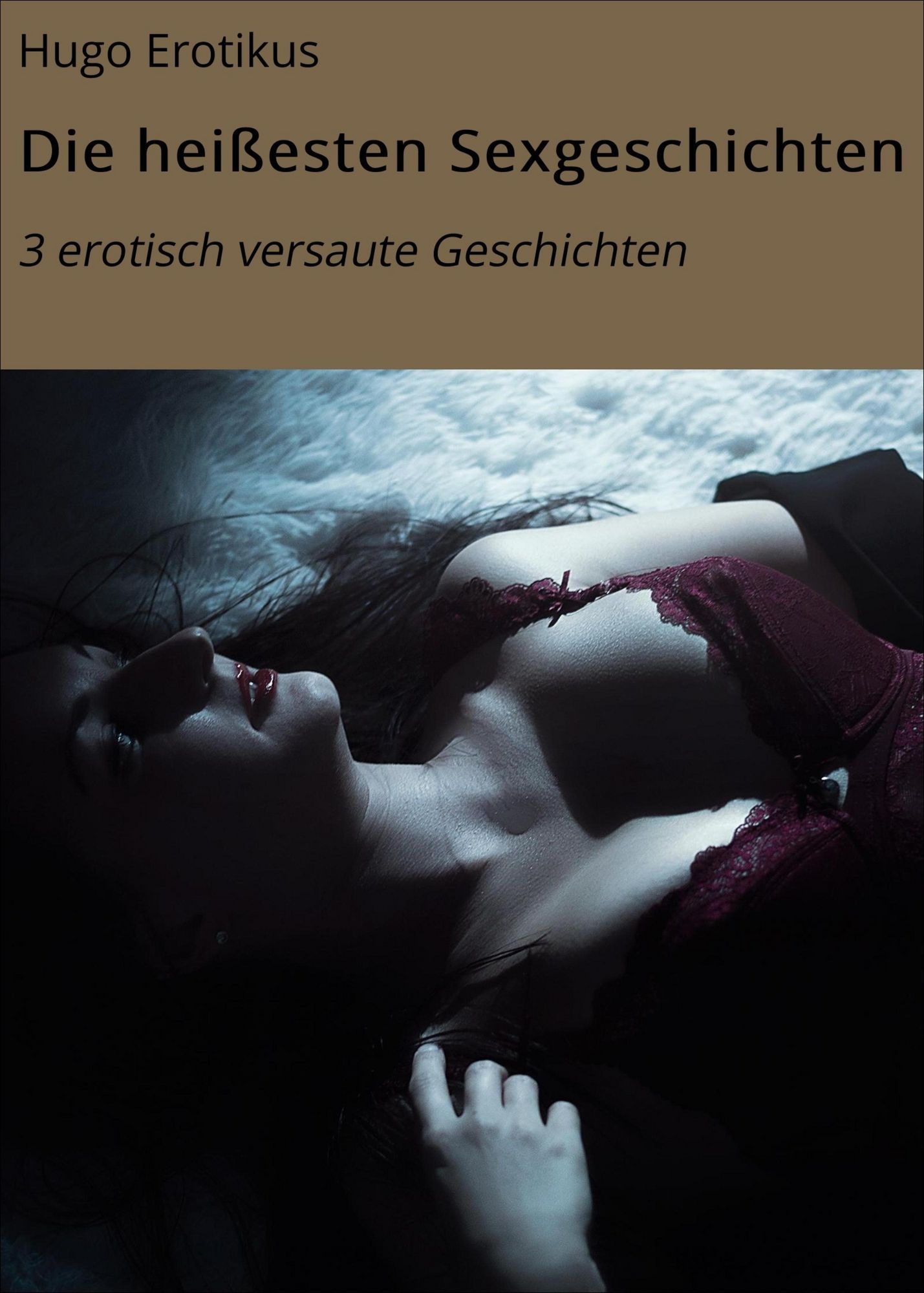 Die heißesten Sexgeschichten als eBook kaufen
