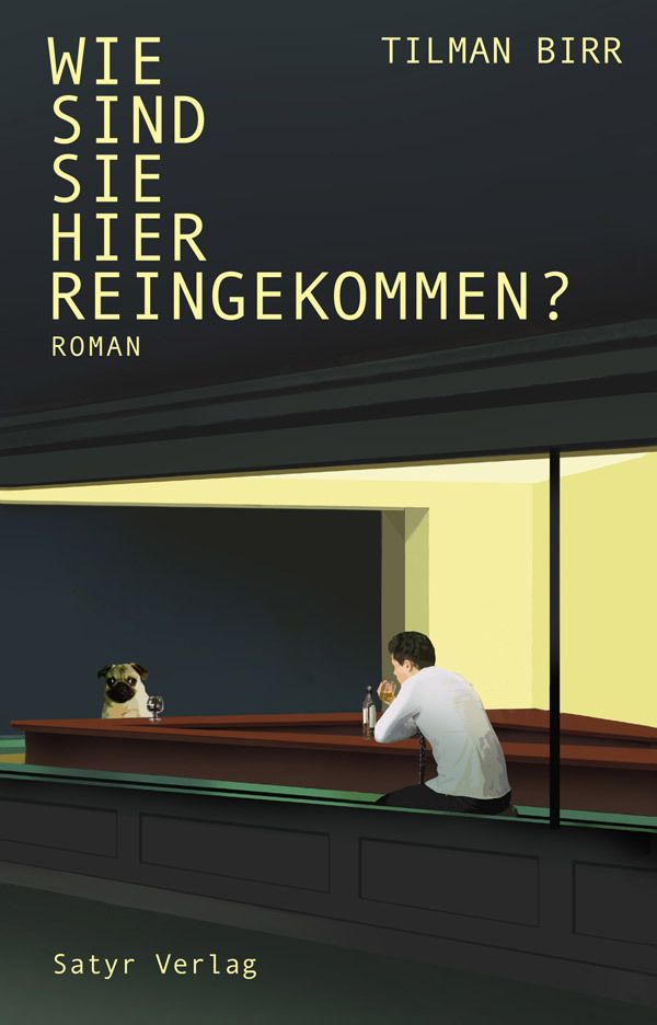 Tilman Birr Wie sind Sie hier reingekommen? bestellen