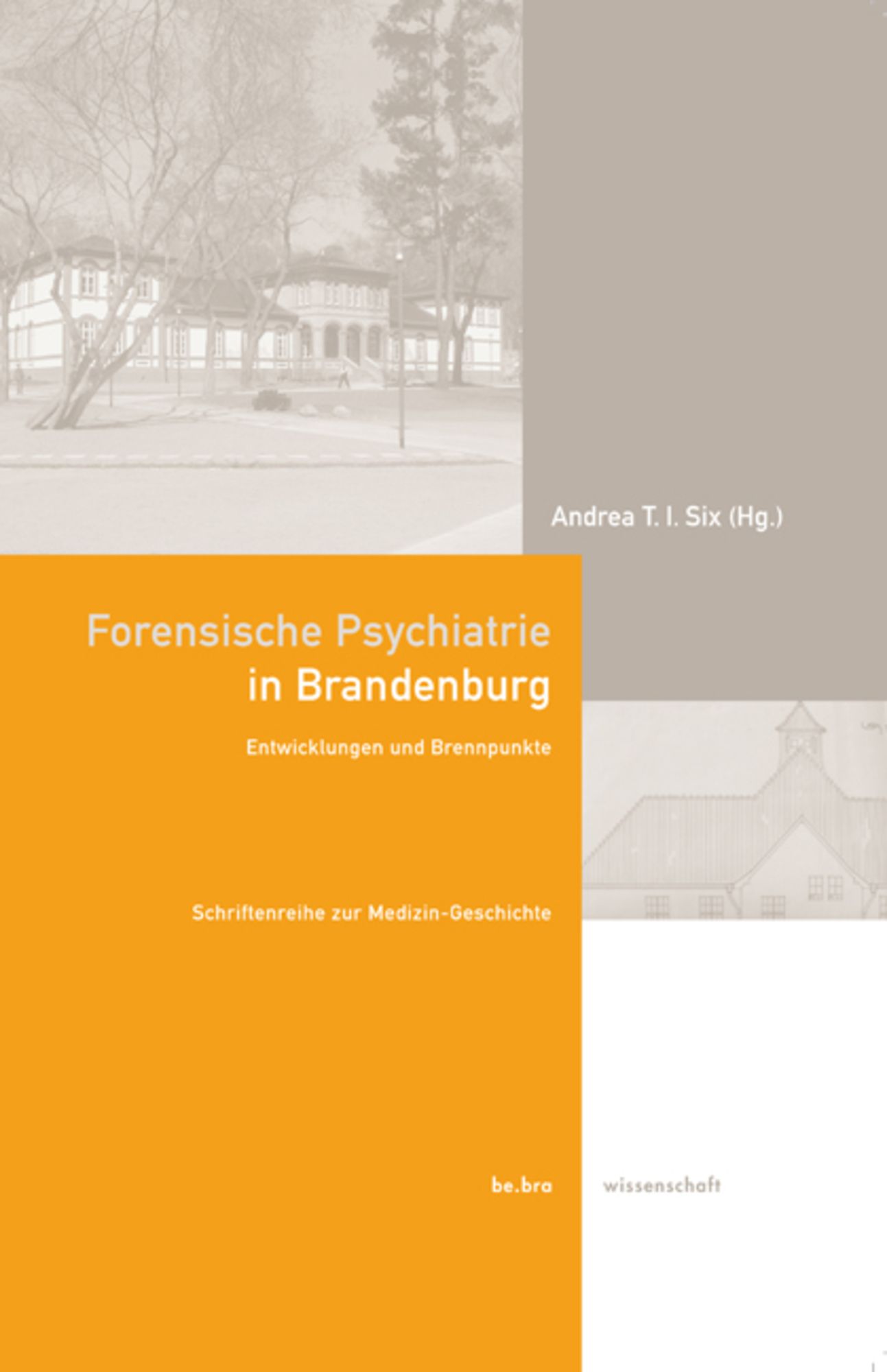 Forensische Psychiatrie in Brandenburg von Beatrice Falk Buch