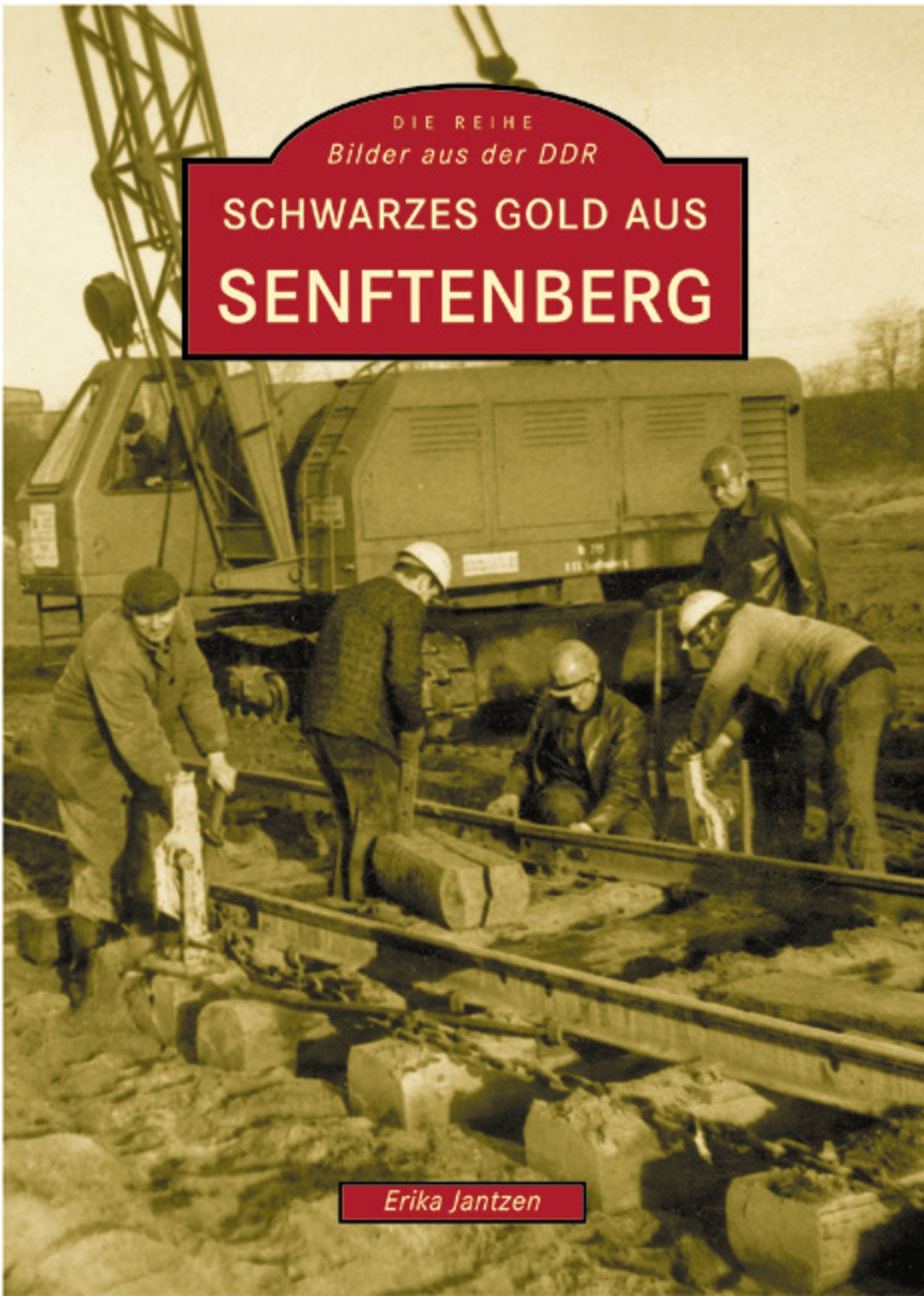 Schwarzes Gold aus Senftenberg von Erika Jantzen - Buch -  978-3-89702-495-3