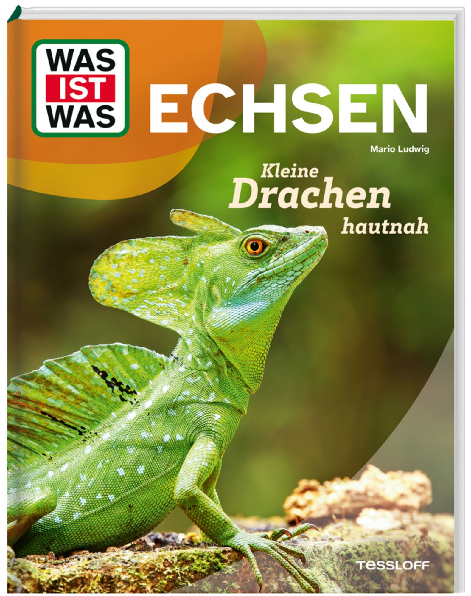 Kleines Schuppentier - Echsen - Drachen hängt cheapest an der Wand