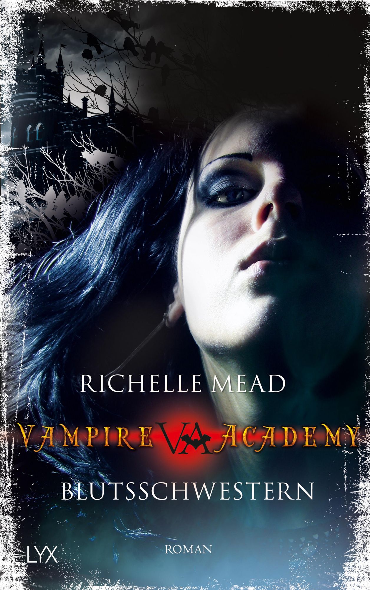 Vampir academy buch