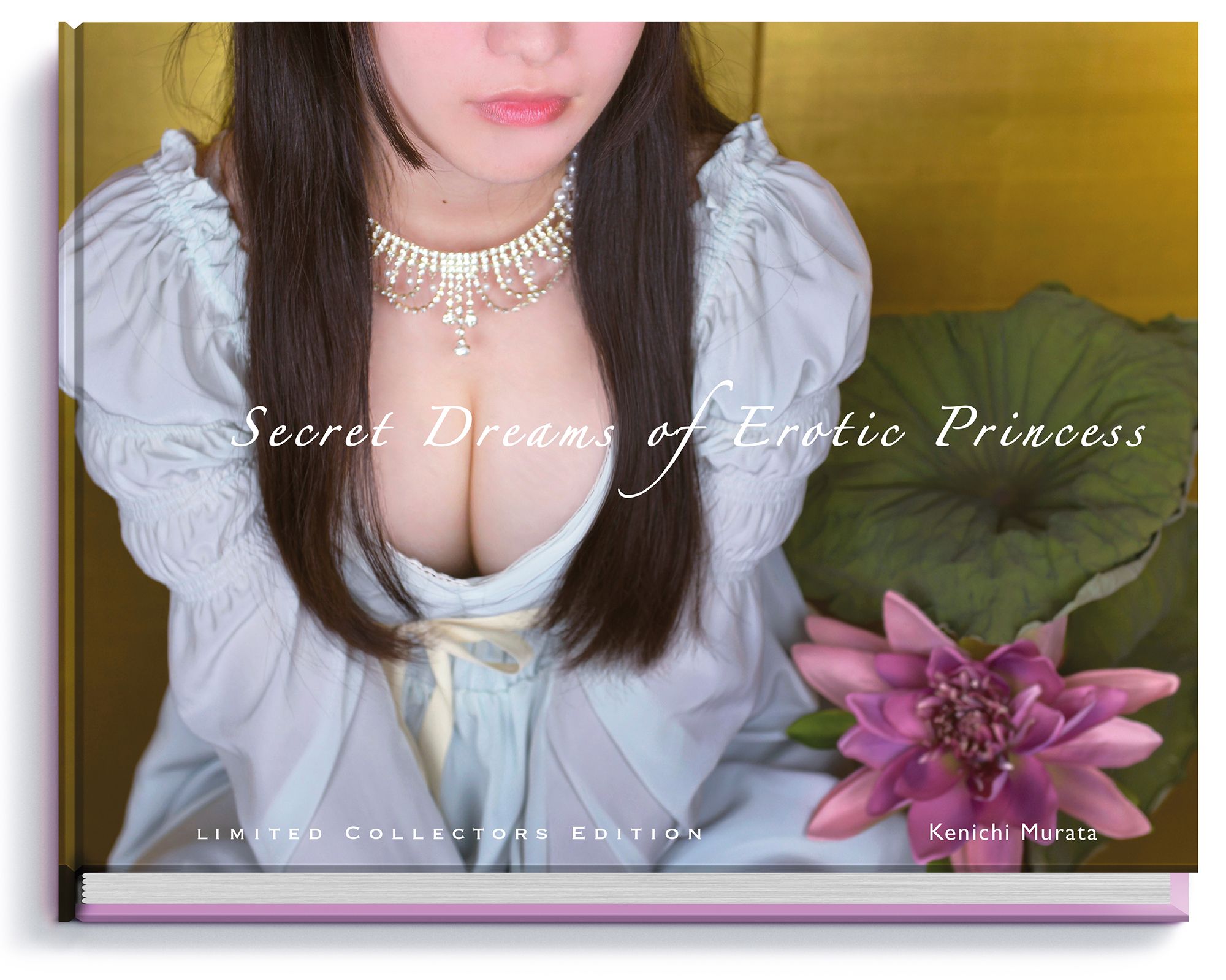 村田兼一写真集 Secret Dreams of Erotic Princess - アート 