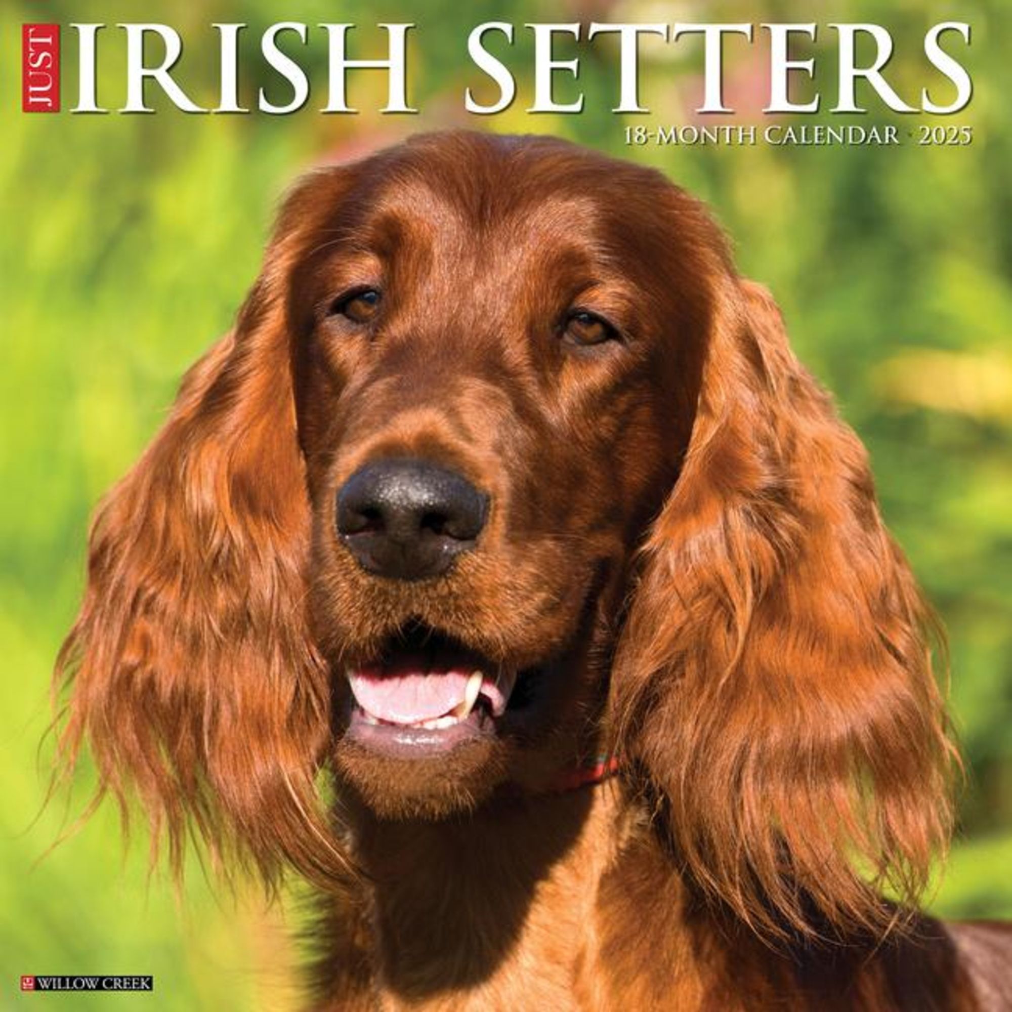 'Just Irish Setters 2025 12 X 12 Wall Calendar' 'Bücher'