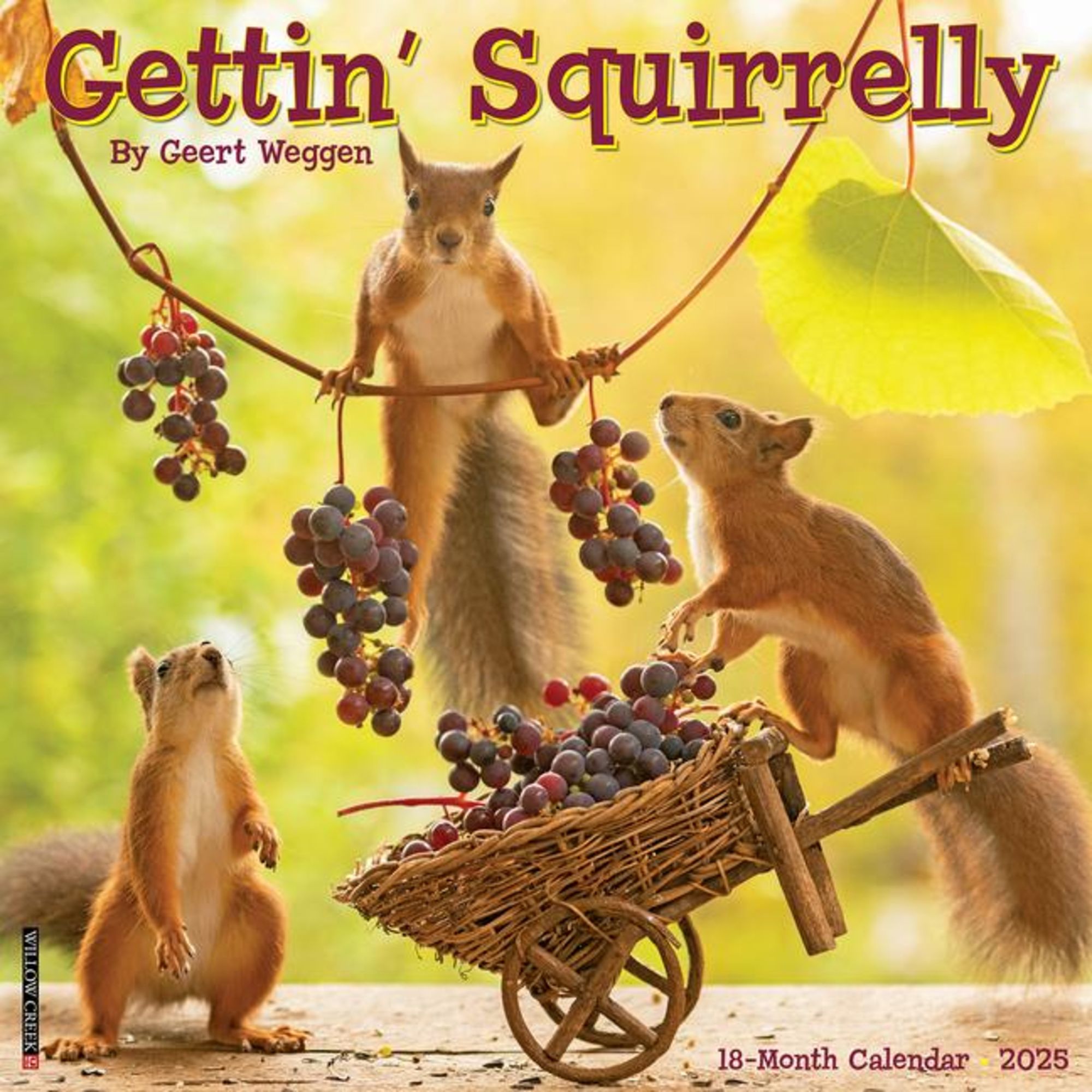 'Gettin' Squirrelly 2025 12 X 12 Wall Calendar' 'Bücher'