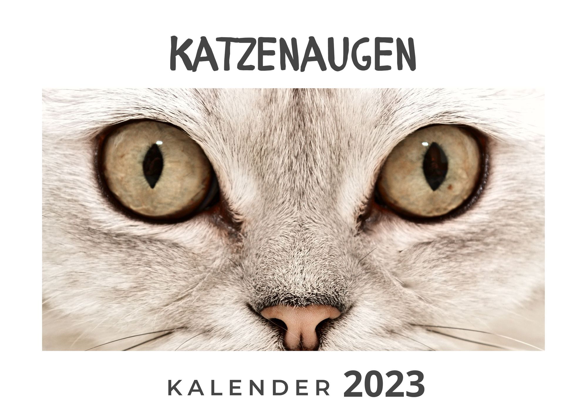 Katzenaugen' - 'Fotografie & Bildbände
