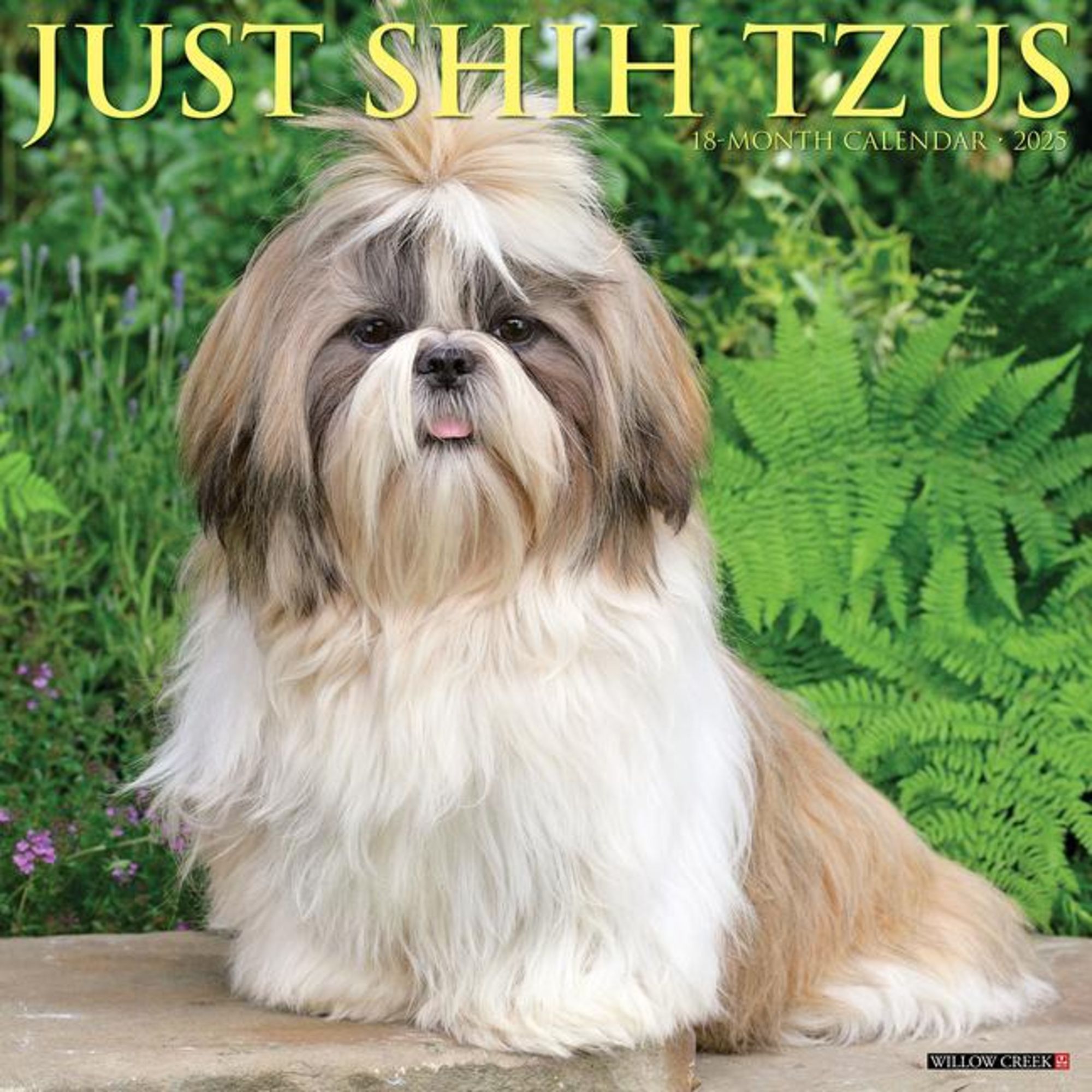 'Just Shih Tzus 2025 12 X 12 Wall Calendar' 'Tierkalender'