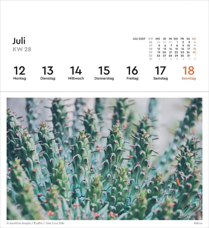 Produktbild: Strukturen - KUNTH Postkartenkalender 2027