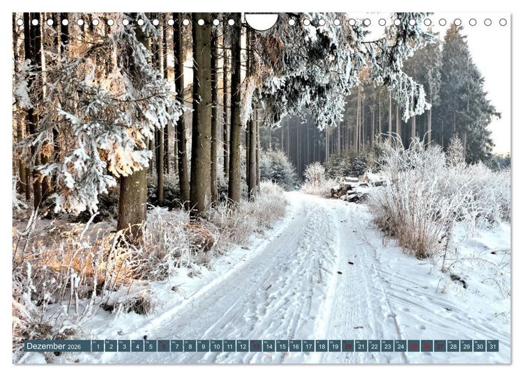 Produktbild: Wiesen W&auml;lder Weiher. Der Naturpark Augsburg-Westliche W&auml;lder (Wandkalender 2026 DIN A4 quer), CALVENDO Monatskalender
