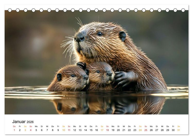 Produktbild: Tierm&uuml;tter - die sanfte Seite der Wildnis (Tischkalender 2026 DIN A5 quer), CALVENDO Monatskalender