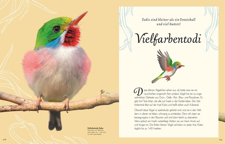 Produktbild: Wundervolle Welt der Vögel