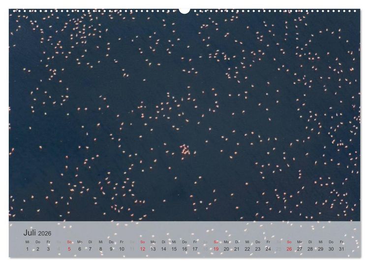 Produktbild: Flamingo Impressionen 2026 (hochwertiger Premium Wandkalender 2026 DIN A2 quer), Kunstdruck in Hochglanz