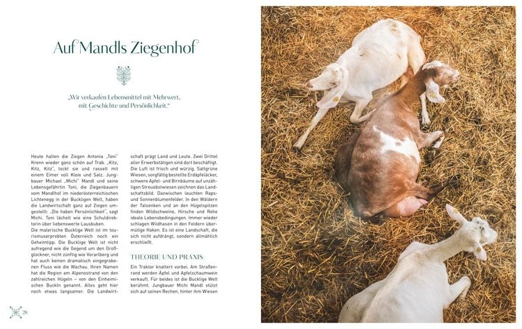 Produktbild: Das Original Sacher Kochbuch