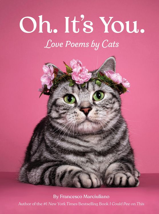 Produktbild: Oh. It's You.