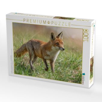 Produktbild: CALVENDO Puzzle Ein Motiv aus dem Kalender F&uuml;chse - zauberhafte Seelen | 1000 Teile Lege-Gr&ouml;&szlig;e 64x48cm Foto-Puzzle f&uuml;r gl&uuml;ckliche Stunden