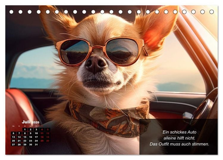 Produktbild: Lustige Chihuahua-Momente (Tischkalender 2026 DIN A5 quer), CALVENDO Monatskalender