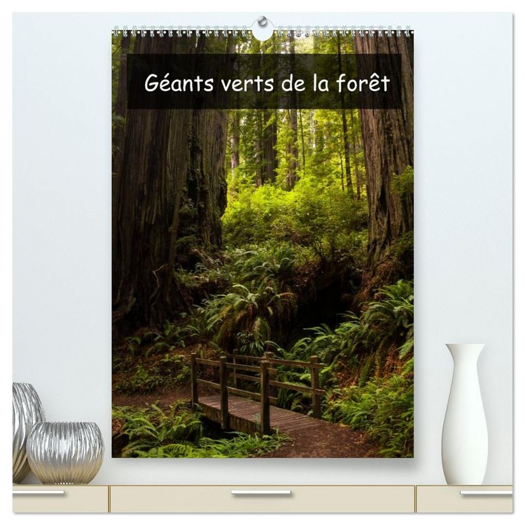 Produktbild: G&eacute;ants verts de la for&ecirc;t (Calendrier mural 2026 DIN A2 horizontal) calendrier de bureau