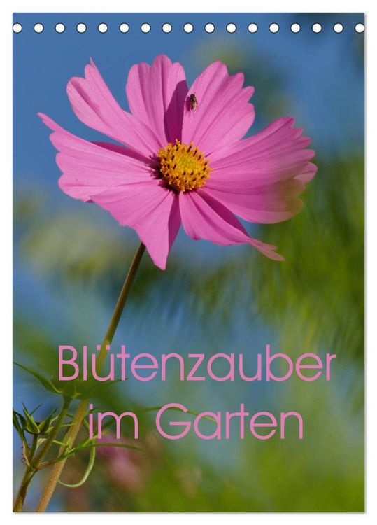 Produktbild: Bl&uuml;tenzauber im Garten (Tischkalender 2026 DIN A5 hoch), CALVENDO Monatskalender