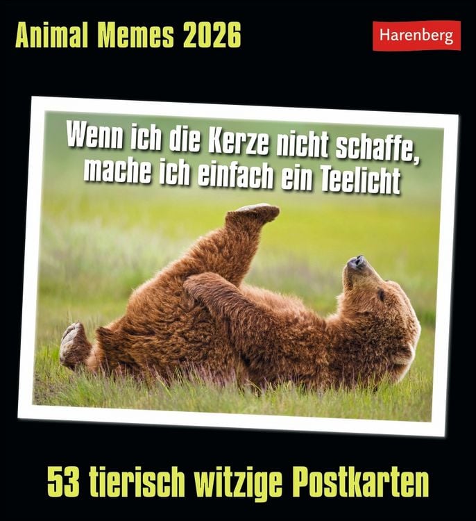 Bild vom Artikel Animal Memes Postkartenkalender 2026 - 53 tierisch witzige Postkarten vom Autor Florent Gallet